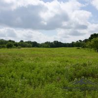 Pioneer Ranch images 2
