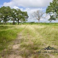 Pioneer Ranch images 4