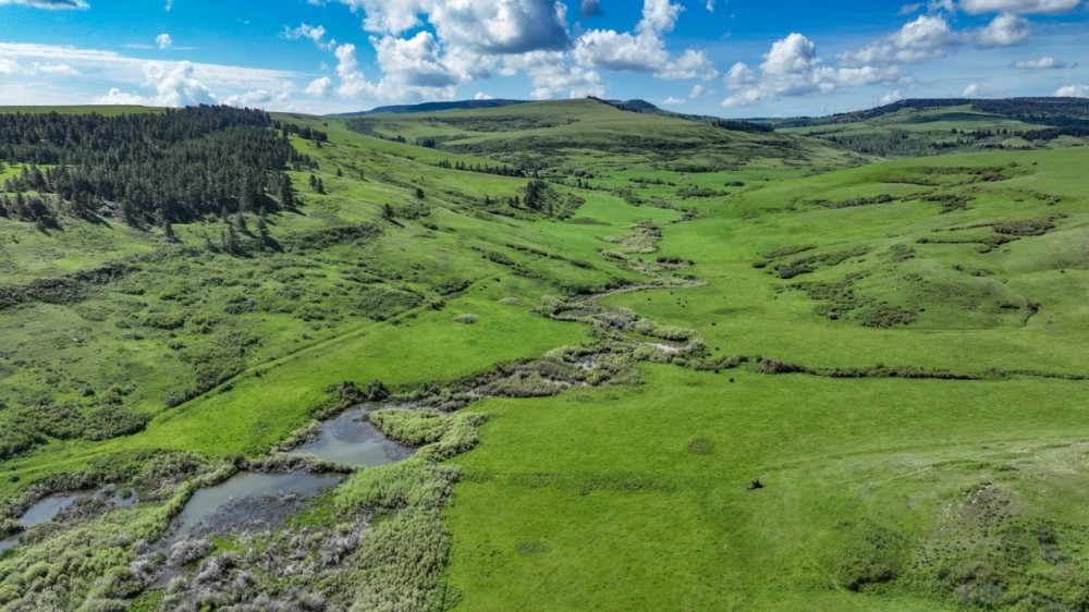 Bear Creek Ranch featured image