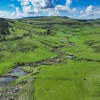 Bear Creek Ranch