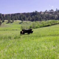 Bear Creek Ranch images 3