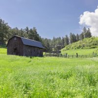 Bear Creek Ranch images 4