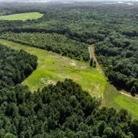 Brushy Creek Farm - Lodge overlooking 27 ac Lake on 844.9 acres images 4