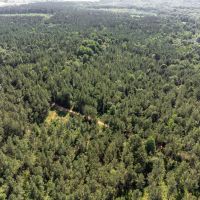 Brushy Creek Farm - Lodge overlooking 27 ac Lake on 844.9 acres images 5