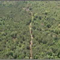 80 Acres in Clarke County in Pachuta MS images 1