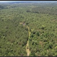 80 Acres in Clarke County in Pachuta MS images 2