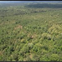 80 Acres in Clarke County in Pachuta MS images 3