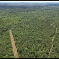 80 Acres in Clarke County in Pachuta MS images 4