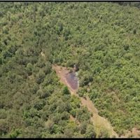 80 Acres in Clarke County in Pachuta MS images 5