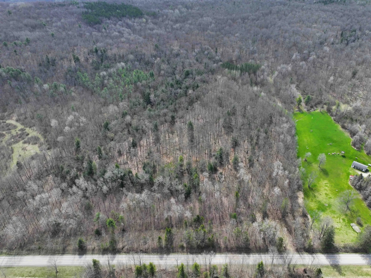 5 acre Building Lot and Recreational Land with Creek in Grove NY CR15B