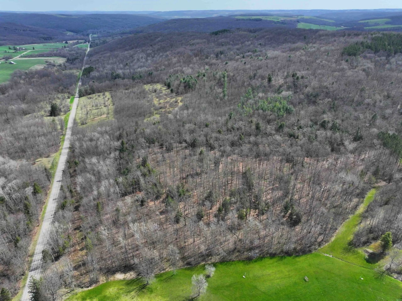 5 acre Building Lot and Recreational Land with Creek in Grove NY CR15B