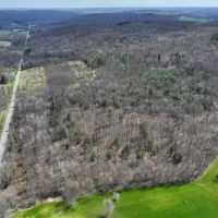 5 acre Building Lot and Recreational Land with Creek in Grove NY CR15B images 4