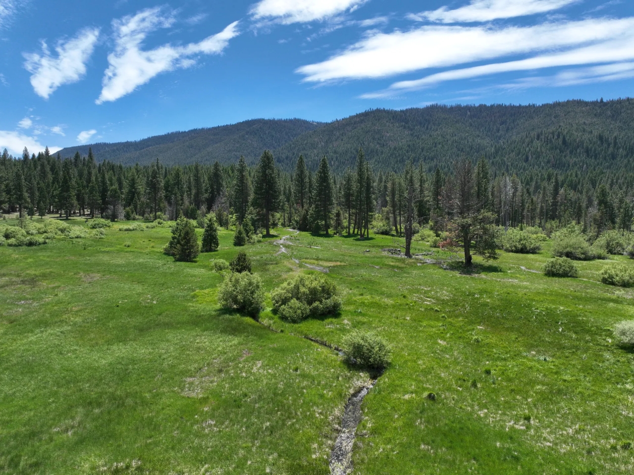 Whitehawk Meadows Ranch South Hunting Land for Sale HuntingLocator