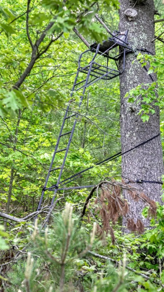 Turnkey Recreational Property in Sparta WI Hunting Land for Sale