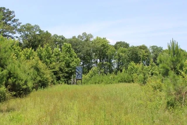 Watson Road - Sumter Tract featured image