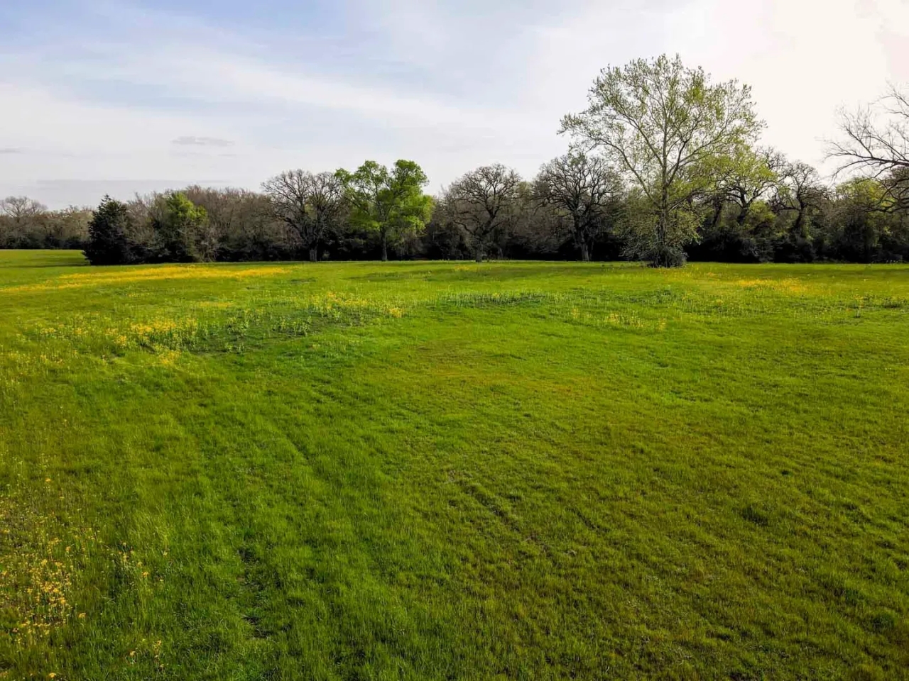 Melton Branch Ranch Hunting Land for Sale