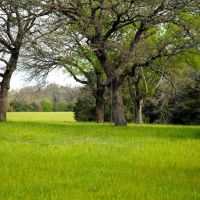 Melton Branch Ranch images 3