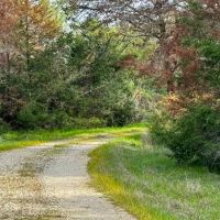 Melton Branch Ranch images 4