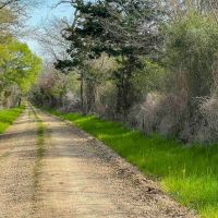 Melton Branch Ranch images 5