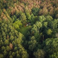 81 Acres with a Cabin in Rankin and Simpson Counties MS