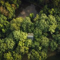 81 Acres with a Cabin in Rankin and Simpson Counties MS images 2