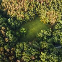 81 Acres with a Cabin in Rankin and Simpson Counties MS images 5