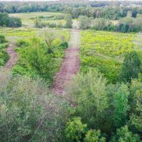 Recreational Hunting Land Winnsboro TX images 5
