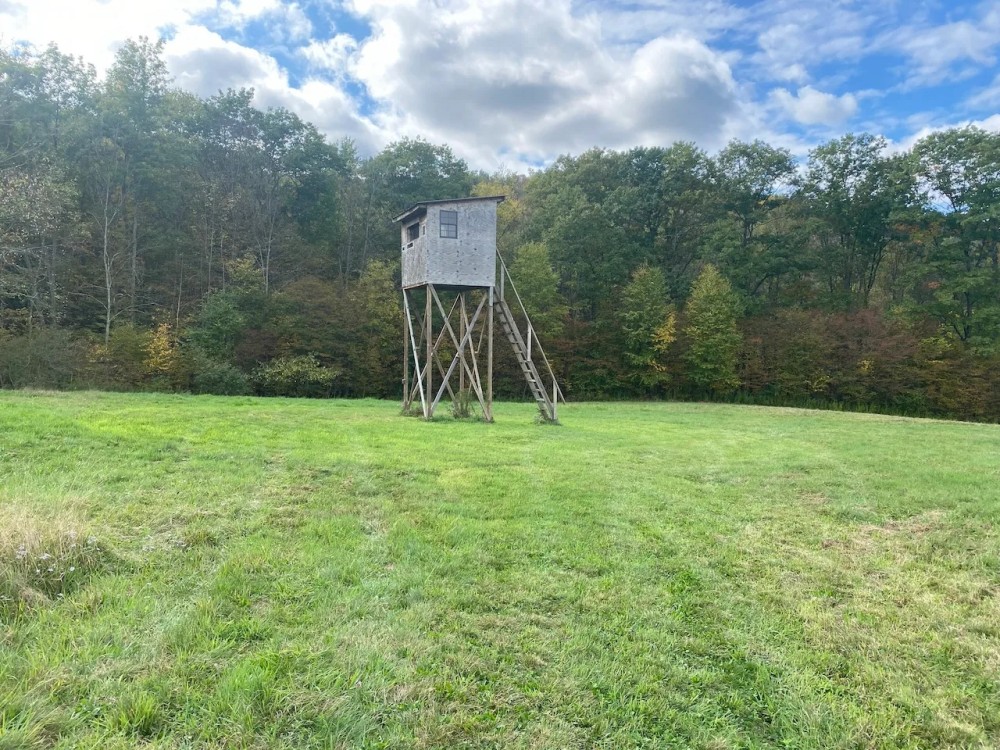 59 acres Hunting Land with Creek and Food Plots in Hinsdale NY 25 Bunny Rd featured image