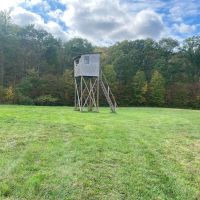 59 acres Hunting Land with Creek and Food Plots in Hinsdale NY 25 Bunny Rd images 1