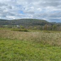 59 acres Hunting Land with Creek and Food Plots in Hinsdale NY 25 Bunny Rd images 2