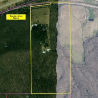 59 acres Hunting Land with Creek and Food Plots in Hinsdale NY 25 Bunny Rd images 3