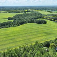 Graceville Duck Pond Farmland images 2