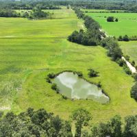 Graceville Duck Pond Farmland images 3