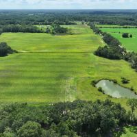 Graceville Duck Pond Farmland images 4