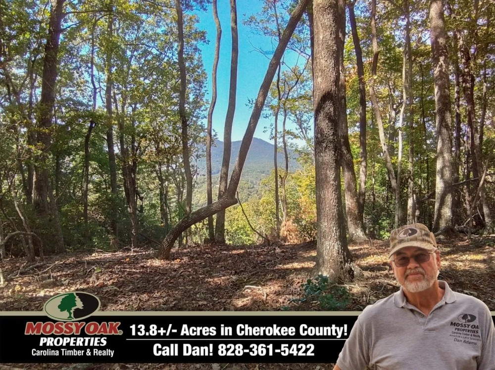 13.87 Acre Package 2 lots plus 11.98 Acres Unrestricted featured image