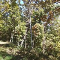 13.87 Acre Package 2 lots plus 11.98 Acres Unrestricted images 2