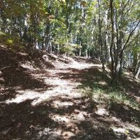 13.87 Acre Package 2 lots plus 11.98 Acres Unrestricted images 3