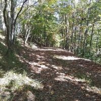 13.87 Acre Package 2 lots plus 11.98 Acres Unrestricted images 5