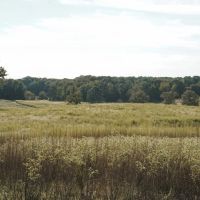Parish Line 32 images 5