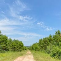 388 Acres T-12 Red Hollow