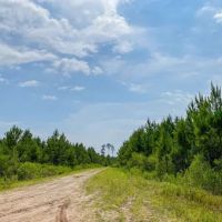 388 Acres T-12 Red Hollow images 4