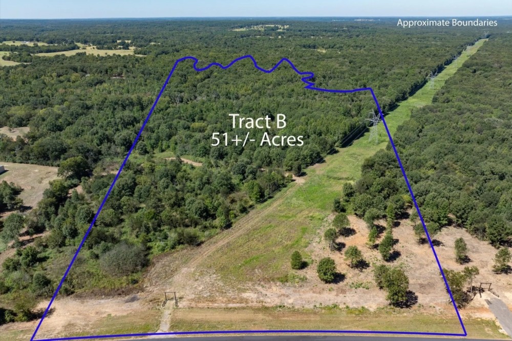 Tract B Hwy 69 Mineola Texas 75773 featured image