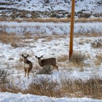 Elk Creek Ranch images 4