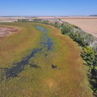 Exceptional Geese Duck Hunting Property - Harrison County Iowa