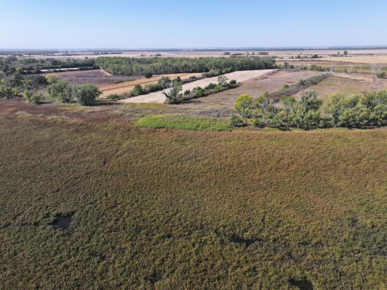 Exceptional Geese Duck Hunting Property Harrison County Iowa