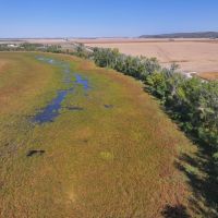 Exceptional Geese Duck Hunting Property - Harrison County Iowa images 4