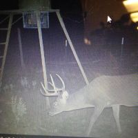 Lease Unavailable - 400 Acres in Young County