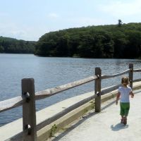 100 Acres, Central Berkshire Lakes Duck Hunting Land in Berkshire, MA