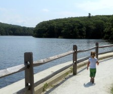 100 Acres, Central Berkshire Lakes Duck Hunting Land in Berkshire, MA