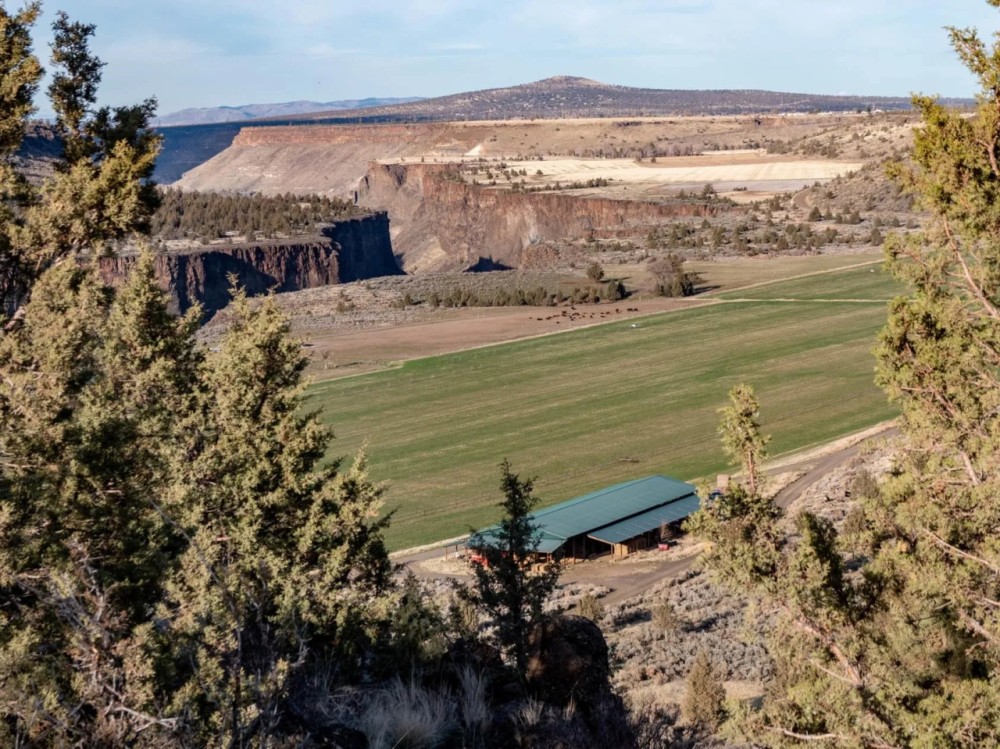 Crooked River Rim Farm featured image